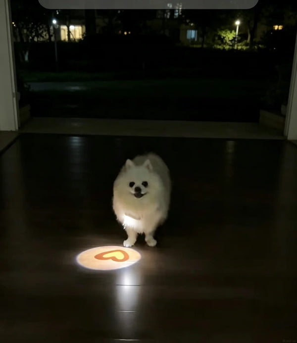 @rescuedog