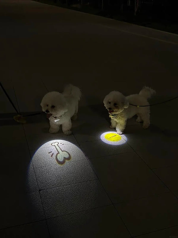 @dogsofinstagram