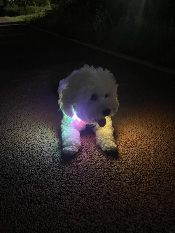 @petparent