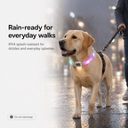 Collar LED Moonlight de Visibilidad para Perros