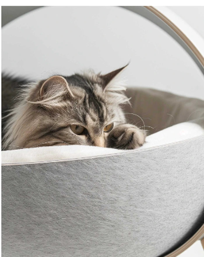 Cat essentials